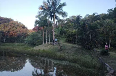 Chácara / sítio à venda na Pinheirinho - Sítio, 123, Zona Rural, Pariquera-Açu