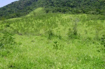 Casa comercial à venda na Bairro Batatal, 122024, Batatal, Eldorado