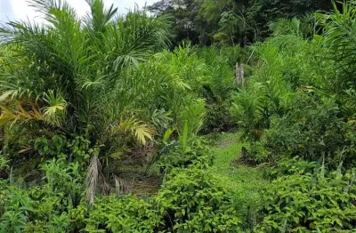 Terras para compensação ambiental para venda em eldorado no bairro batatal