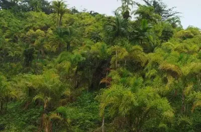 Casa comercial à venda no Mamparra, Sete Barras 