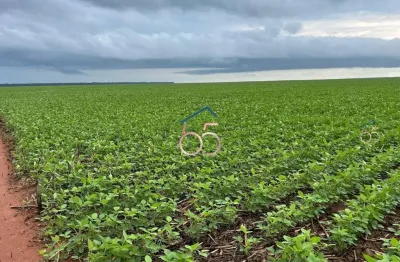 Fazenda a venda em querencia do norte mt -área total 7.200 hectares