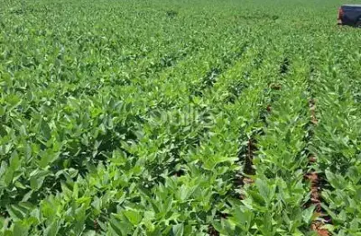 Fazenda à venda no centro, sidrolândia  por r$ 30.000.000