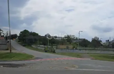 Terreno à venda na Rua Ângelo Moro Redeschi, Cruzeiro, São José dos Pinhais por R$ 6.000.000