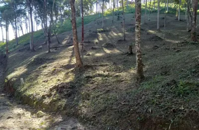 Terreno em condomínio fechado à venda na do cafezeiro, varginha, santo amaro da imperatriz por r$ 250.000