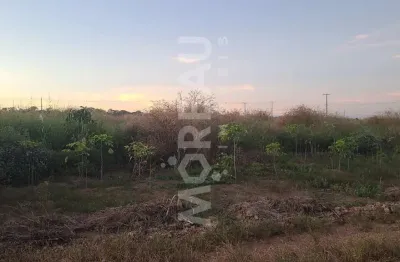 Chácara / sítio à venda na Zona Rural, Sinop 