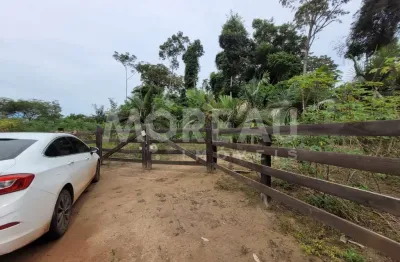 Chácara / sítio com 3 quartos à venda na Zona Rural, Sinop 