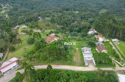 Chácara com 4 residencias + 1 ponto comercial à venda, 34.360 m² por r$ 3.800.000 - palmitalzinho - quatro barras/pr