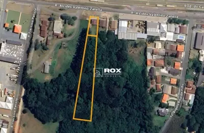 Terreno à venda, 4132 m² por r$ 1.950.000 - rondinha, campo largo/pr