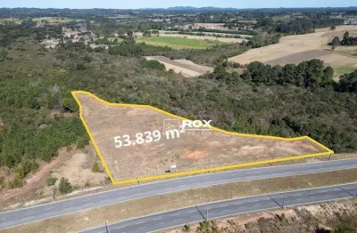 Terreno à venda, 53.839 m² por r$ 13.030.000 - campo largo da roseira, são josé dos pinhais/pr