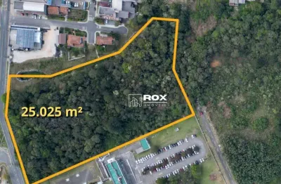 Terreno à venda, 25.025 m² por r$ 15.000.000 - centro, araucária/pr