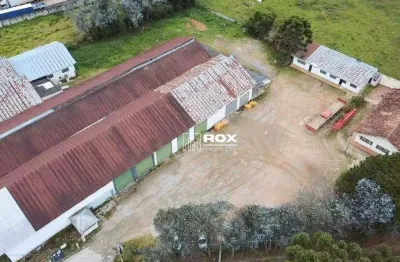Barracão à venda, 4000 m² por r$ 17.000.000 - braga, são josé dos pinhais/pr