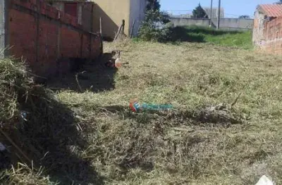 Terreno à venda, 200 m² por r$ 101.000,00 - jardim são clemente - monte mor/sp