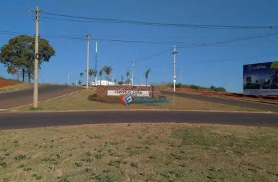 Terreno à venda, 250 m² por r$ 170.000,00 - chacara primavera - monte mor/sp