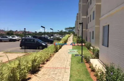 Apartamento com 2 dormitórios à venda,  parque jambeiro - campinas/sp
