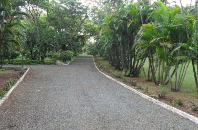 Área à venda, 7000 m² por r$ 3.500.000,00 - chácara bela vista - sumaré/sp