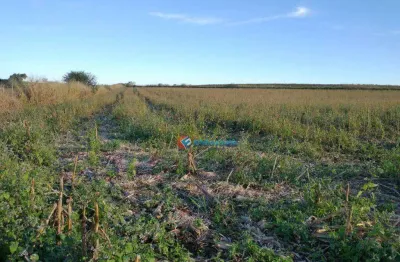 Área à venda, 20000 m² por r$ 1.200.000,00 - chácara cruzeiro do sul - sumaré/sp