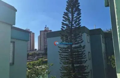 Apartamento com 3 quartos à venda - vila manoel ferreira - campinas/sp