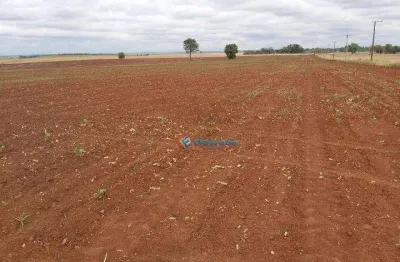 Área à venda, 210.000 m² com topografia totalmente plana - fazenda velha - nova odessa/sp