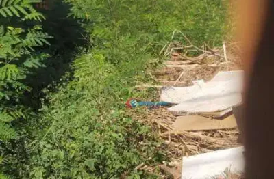 Terreno à venda na Rua Anedino Gonçalves dos Santos, Jardim Minezotta (Nova Veneza), Sumaré