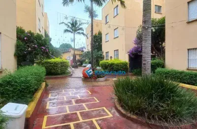 Apartamento à venda, 48 m² por r$ 175.000,00 - parque bandeirantes i (nova veneza) - sumaré/sp