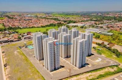 Apartamento com 2 dormitórios,  venda  ou aluguel -  jardim bela vista - sumaré/sp