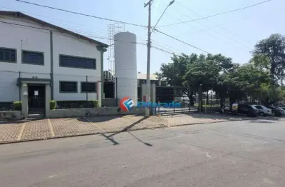 Galpão para alugar, jardim boa vista - hortolândia/sp