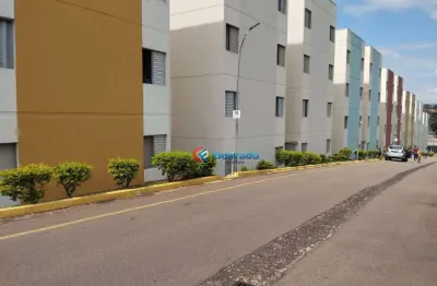 Apartamento à venda - jardim marchissolo - sumaré/sp