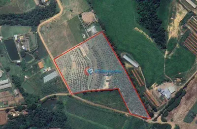 Chácara / sítio com 2 quartos à venda no Jardim Nova Alvorada, Monte Mor 