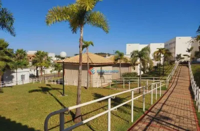 Apartamento à venda - jardim bertoni - americana/sp