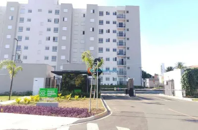 Apartamento com 2 quartos para alugar - parque da amizade (nova veneza) - sumaré/sp