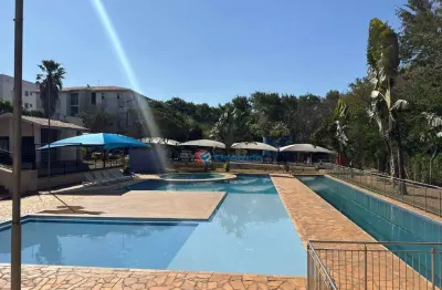 Apartamento com 2 quartos para alugar - jardim bom retiro (nova veneza) - sumaré/sp