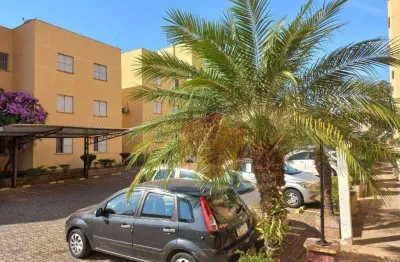 Apartamento com 2 dormitórios à venda, 53 m² por r$ 165.000,00 - parque bandeirantes i (nova veneza) - sumaré/sp