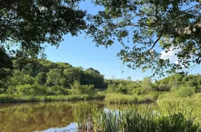 Oportunidade! sítio 13 alqueires na região paraíso - caldas novas