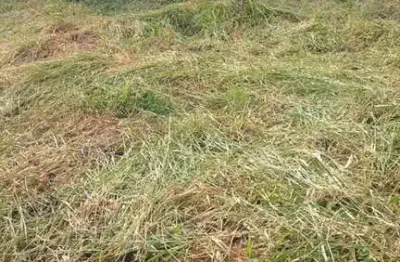 Lote/terreno à venda, fazenda hotel são bento do recreio - valinhos