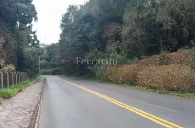 Terreno à venda na Rua Mato Grosso, 2650, Jardim Busmayer, Campo Largo por R$ 3.329.452