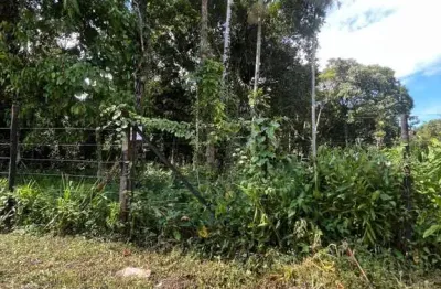 Terreno à venda na Alameda Paranapiacaba, Boracéia, São Sebastião
