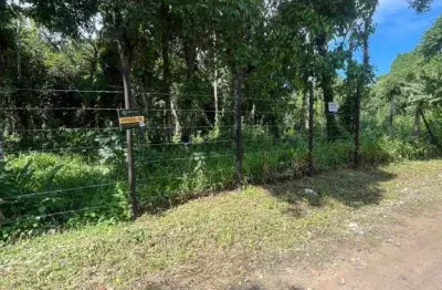Terreno à venda na Alameda Paranapiacaba, Boracéia, São Sebastião