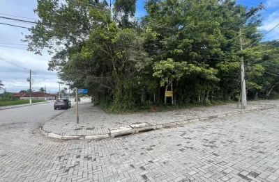Terreno à venda na Alameda São Caetano Do Sul, Boracéia, São Sebastião