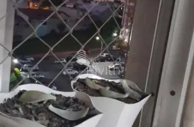 Apartamento com 3 quartos à venda no Jardim do Estádio, Santo André 