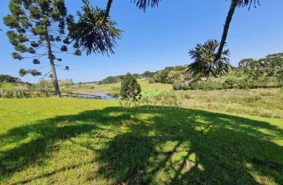 Terreno à venda, 21250 m² por r$ 1.100.000,00 - borda do campo - piraquara/pr