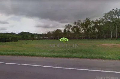 Terreno à venda, 36946 m² por r$ 14.778.400,00 - ganchinho - curitiba/pr