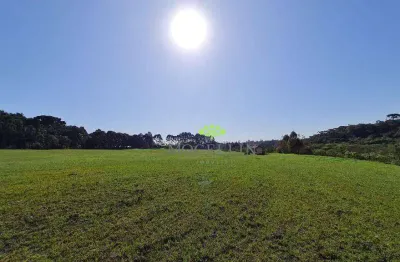 Terreno à venda, 84700 m² por r$ 1.700.000,00 - colônia santa maria - piraquara/pr