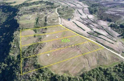 Terreno à venda em São Luiz do Purunã, Balsa Nova 