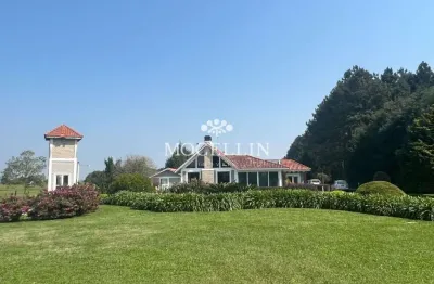 Chácara / sítio com 4 quartos à venda na da laje, 1, centro, balsa nova por r$ 6.300.000