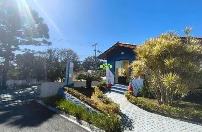 Casa para alugar, 200 m² por r$ 7.000/mês - portão - curitiba/pr