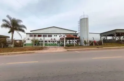 Barracão / galpão / depósito com 10 salas para alugar na pedro de alcântara meira, 1195, fazenda velha, araucária por r$ 64.000