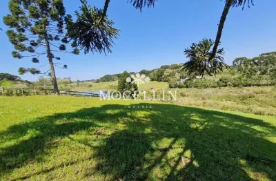 Terreno à venda na rua joão batista de souza maceno, 1, borda do campo, piraquara por r$ 1.100.000