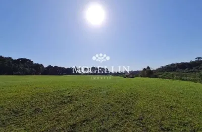 Terreno à venda na rua joão batista de souza maceno, 12, borda do campo, piraquara por r$ 1.700.000