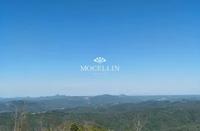 Terreno à venda na da laje, 1, são luiz do purunã, balsa nova por r$ 2.000.000