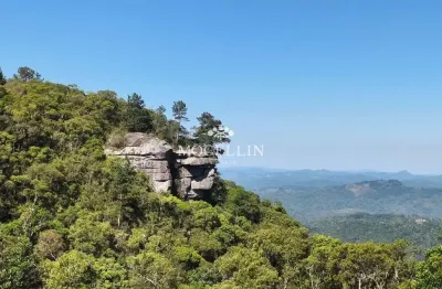 Terreno à venda na da laje, 2, são luiz do purunã, balsa nova por r$ 2.000.000